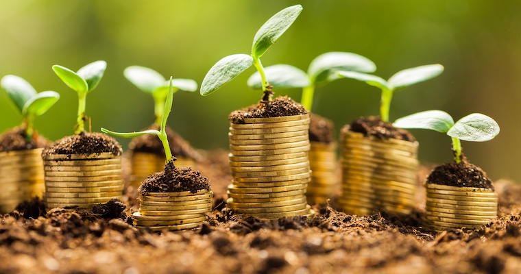 Growth, business, money.