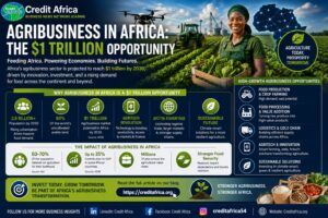 Agribusiness in Africa: The $1 Trillion Opportunity