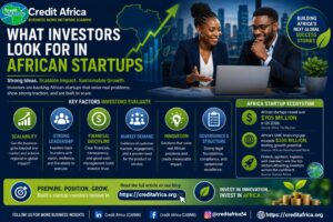 What Investors Look for in African Startups
